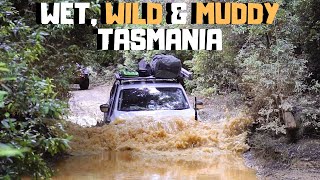 RING RIVER TRACK TO MONTEZUMA FALLS  TASMANIA 4WD TRIP 2020 [upl. by Auric]