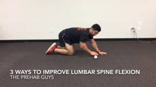 3 ways to improve lumbar spine flexion mobility [upl. by Naira]