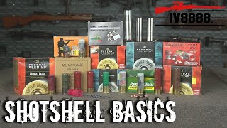 Ammo For Beginners Shotshell Basics [upl. by Otrebogad]