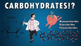 All About Carbohydrates in 6 min From a HighSchool Student  BIOLOGY  HD [upl. by Sisco]