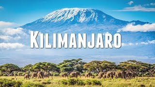 CLIMBING MOUNT KILIMANJARO [upl. by Howe]