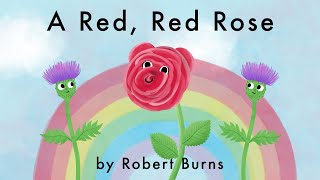 A Red Red Rose  Robert Burns Poem [upl. by Jemine244]