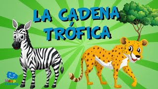 La Cadena Trófica  Videos Educativos para Niños [upl. by Dachi]