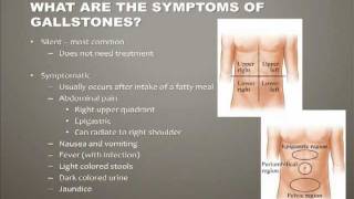 Diseases of the Gallbladder [upl. by Ynahirb]