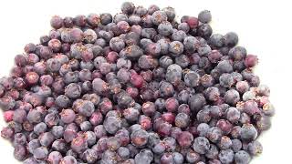 What is a Saskatoon berry North American super fruit [upl. by Melitta263]