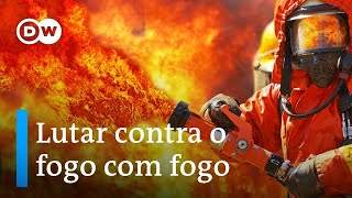 Incêndios florestais como evitar que o mundo queime [upl. by Elrak352]