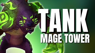 Tank Mage Tower Guide amp Full Walkthrough  Guardian Druid POV [upl. by Petra346]