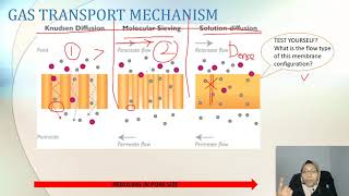 Gas Separation in Membrane [upl. by Aridnere]