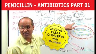 Penicillin  Antibiotics  Dr Najeeb  Part 14 [upl. by Armillda]