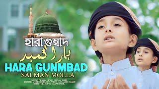 Hara Gumbad। হারা গুম্বাদ। Urdu Nasheed। উর্দু গজল। Salman molla  Al Amin Farabi [upl. by Niroc926]