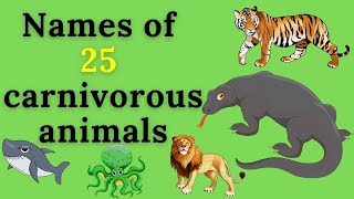 Names of 25 carnivorous animals  carnivores  Examples of carnivores  animals name [upl. by Barsky636]