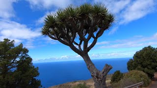 Best of La Palma  Top 8 places to visit [upl. by Ainslie329]