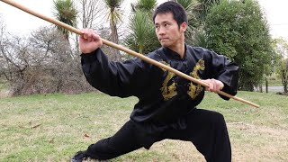 Shaolin Kung Fu Wushu Basic Staff Training for Beginners [upl. by Laktasic108]