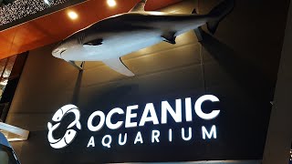 Balneario Camboriu Oceanic Aquarium in Brazil [upl. by Warenne]