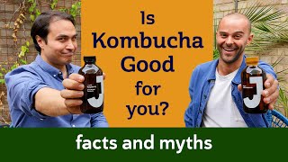 Health Benefits of Kombucha  truth or fiction [upl. by Art950]