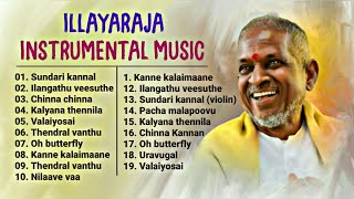 Ilayaraja Instrumental Music amp BGMs  ilayaraja instrumental music collectionFlute Violin veenai [upl. by Morse]