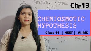 Ch13 Photosynthesis L04 Chemiosmotic Hypothesis  Class 11  NEET  AIIMS [upl. by Eendyc829]