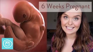 6 Weeks Pregnant What You Need To Know  Channel Mum [upl. by Mackintosh]