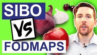 SIBO Treatment  Should You Avoid FODMAPS  Whats The Best SIBO Diet [upl. by Ees293]