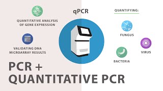 3 Polymerase Chain Reaction PCR  Quantitative PCR qPCR [upl. by Areek784]