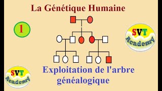 1 La génétique humaine  Exploitation de larbre généalogique  SVT BAC [upl. by Kellina227]