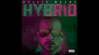 Collie Buddz  Everything Blessed feat Tech N9ne [upl. by Ahseinar]