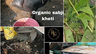 ORGANIC Sabji kheti garne tarika [upl. by Aborn]