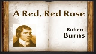 A Red Red Rose by Robert Burns  Poetry Reading [upl. by Anegroeg]