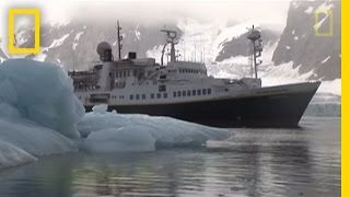 Killer Whales vs Minke Whale  National Geographic [upl. by Asemaj]