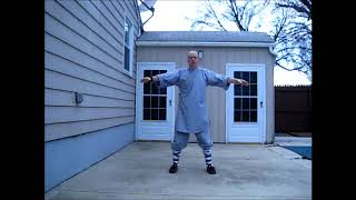 Shaolin Qigong  13 Luohan Forms  Slow and Flow Version [upl. by Dunson623]