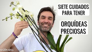 7 CUIDADOS MUY FÁCILES para tener ORQUÍDEAS INCREÍBLES más floración y duración  en20metros [upl. by Hawthorn]