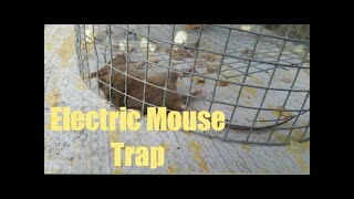 Homemade Electric Rat and Mouse Killer [upl. by Solakcin]