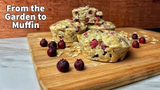 Serviceberry Oat Muffin Recipe From The Garden [upl. by Esilehs]