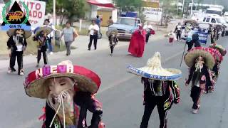 DÍA DEL TECUÁN ACATLÁN DE OSORIO PUEBLA 2018 [upl. by Peggir]