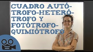 Cuadro autótrofoheterótrofo y fotótrofoquimiótrofo [upl. by Akemyt611]