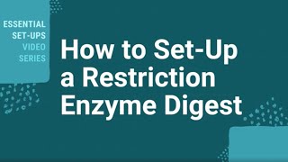 How Do I Setup A Restriction Enzyme Digest [upl. by Corri]