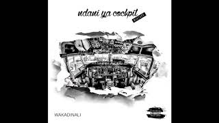 Wakadinali  quotStaki Rafikiquot Official Audio [upl. by Nivak]