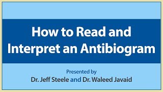 How to Read and Interpret an Antibiogram [upl. by Orna486]