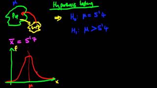 Hypothesis testing [upl. by Hayott943]