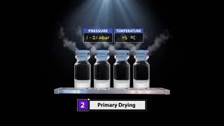 Product Lyophilization Process [upl. by Schreib]