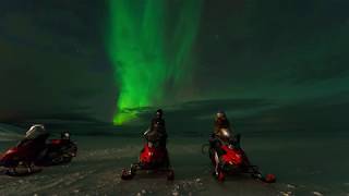 Winter Cruise in Norway  Hurtigruten November to February [upl. by Nwadahs]