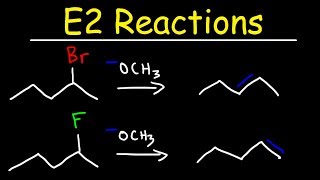 E2 Reaction Mechanism  Hoffman Elimination vs Zaitsevs Rule [upl. by Rattray]