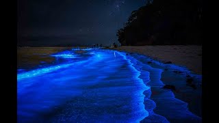 Jervis Bay After Dark [upl. by Hyo]