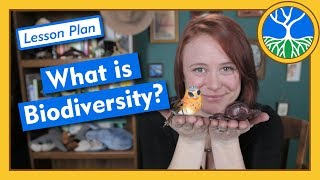 What is Biodiversity  Lesson Plan [upl. by Nalced607]