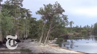 Sinkhole in Louisiana Swallows Trees  Caught on Tape 2013  The New York Times [upl. by Justinian]