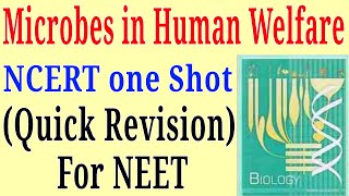 Microbes in human welfare class 12 ncert one shot for NEET exam [upl. by Tamar347]