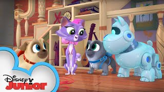 Forget Pups Not  Puppy Playcare  Puppy Dog Pals  Disney Junior [upl. by Obediah]