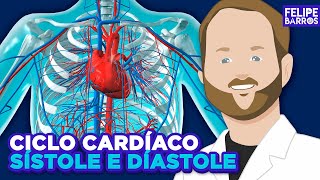 ANATOMIA CARDÍACA E MOMENTOS DE CONTRAÇÃO Sístole e Diástole [upl. by Anerev]