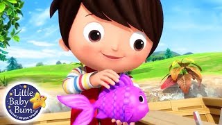 12345 Once I Caught A Fish Alive  Nursery Rhymes for Babies  Songs For Kids  Little Baby Bum [upl. by Alihet]