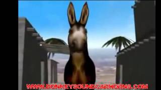 Donkey Braying Hee Haw Sounds Car Horn [upl. by Isola]